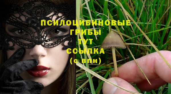 амф Абинск