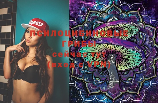 гашик Абдулино