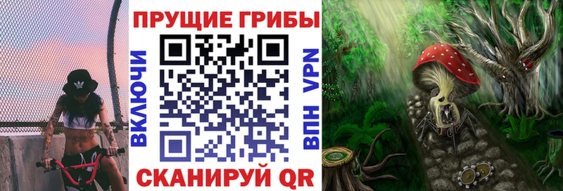Галлюциногенные грибы мухоморы  Шадринск 