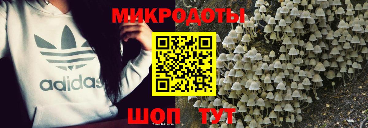 Псилоцибиновые грибы Magic Shrooms  Вход с VPN  даркнет сайт  Шадринск  Галлюциногенные грибы Psilocybine cubensis 